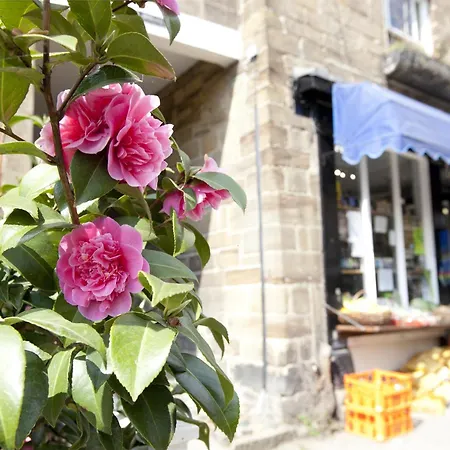 4 Bed In Robin Hoods Bay G0003 度假居